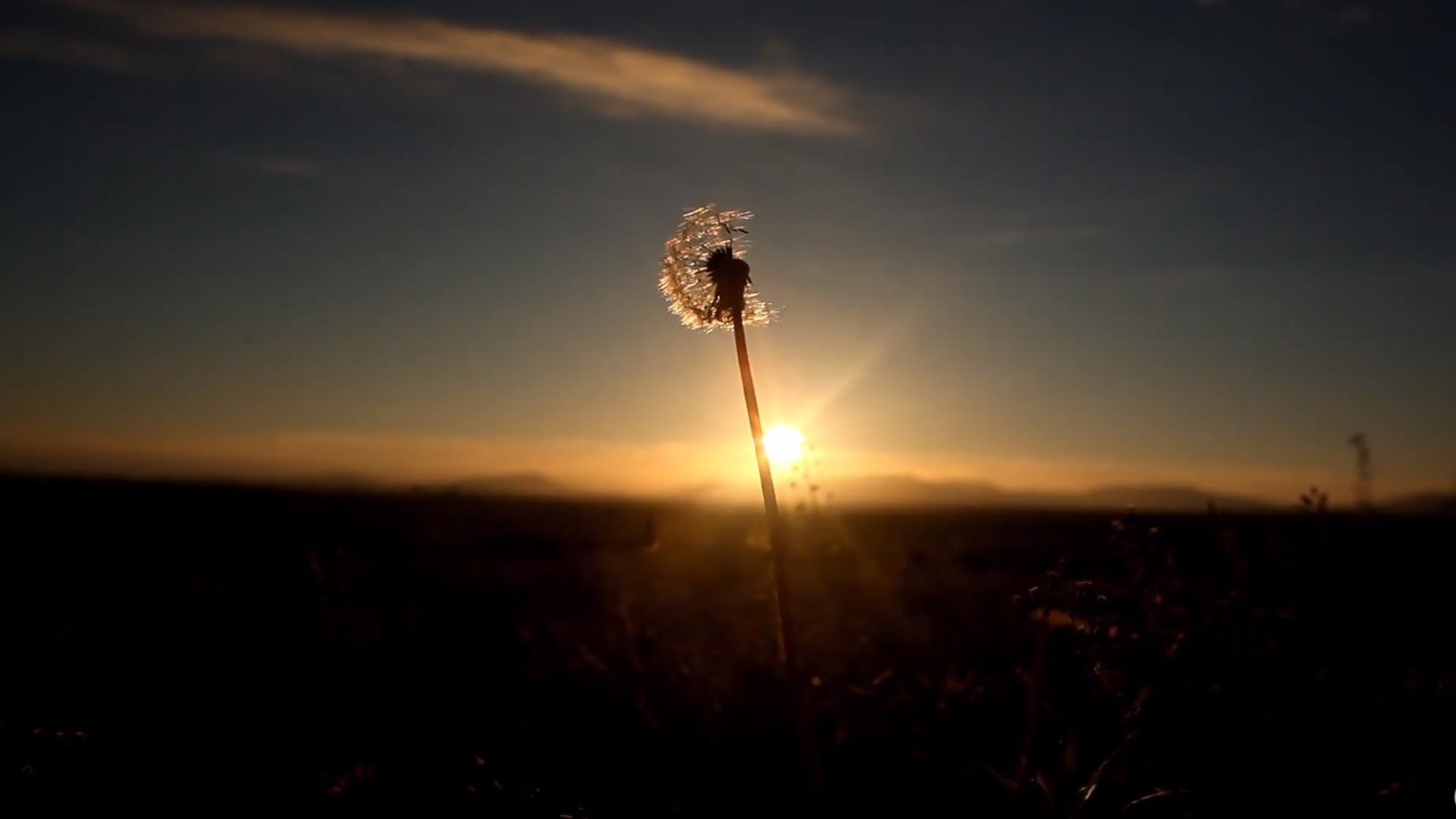 Relaxing Piano Music